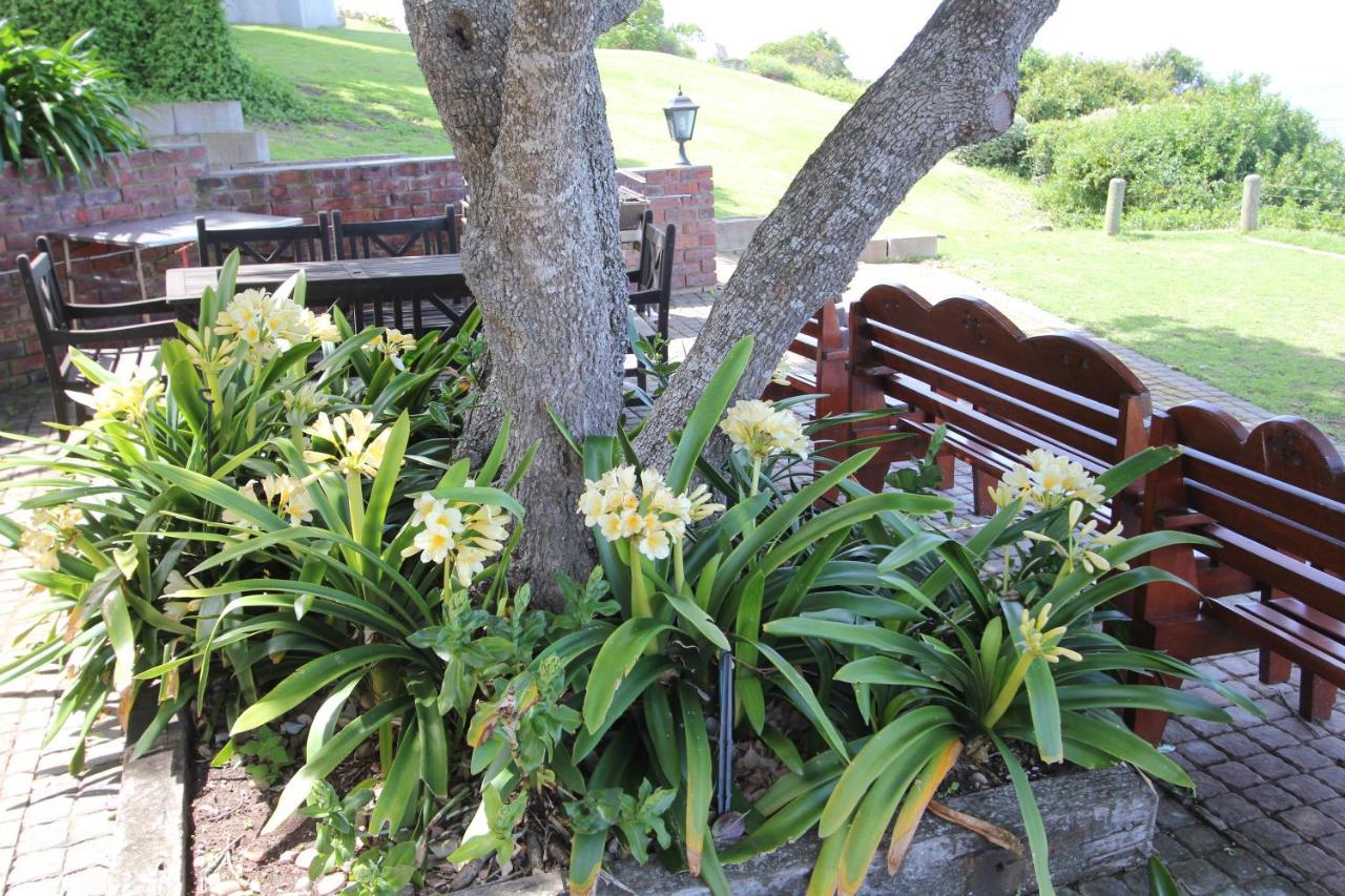 Imperani Appartement Plettenbergbaai Buitenkant foto